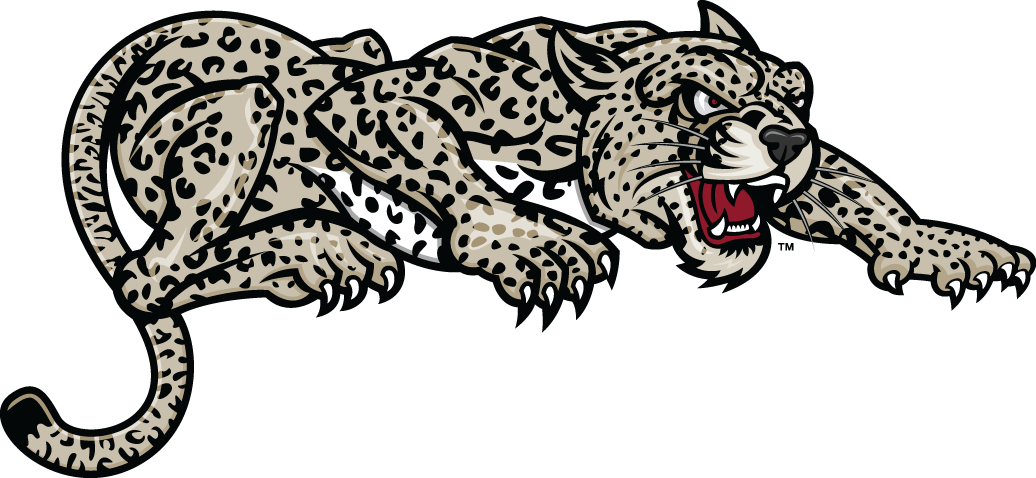 Lafayette Leopards 2000-Pres Partial Logo v2 iron on transfers for clothing
